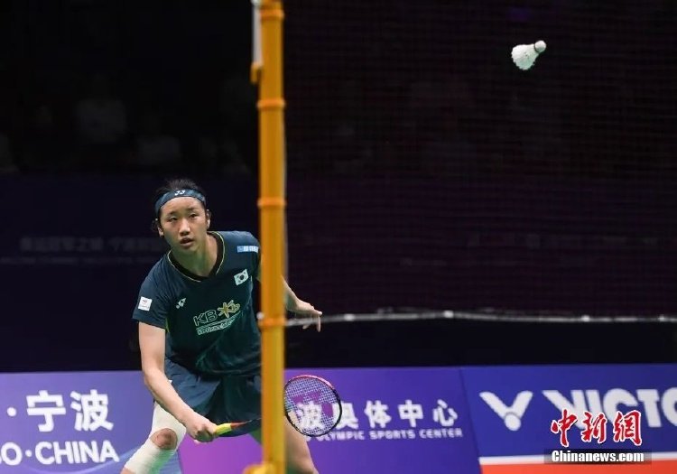 洲豪门的青 洲豪门的青